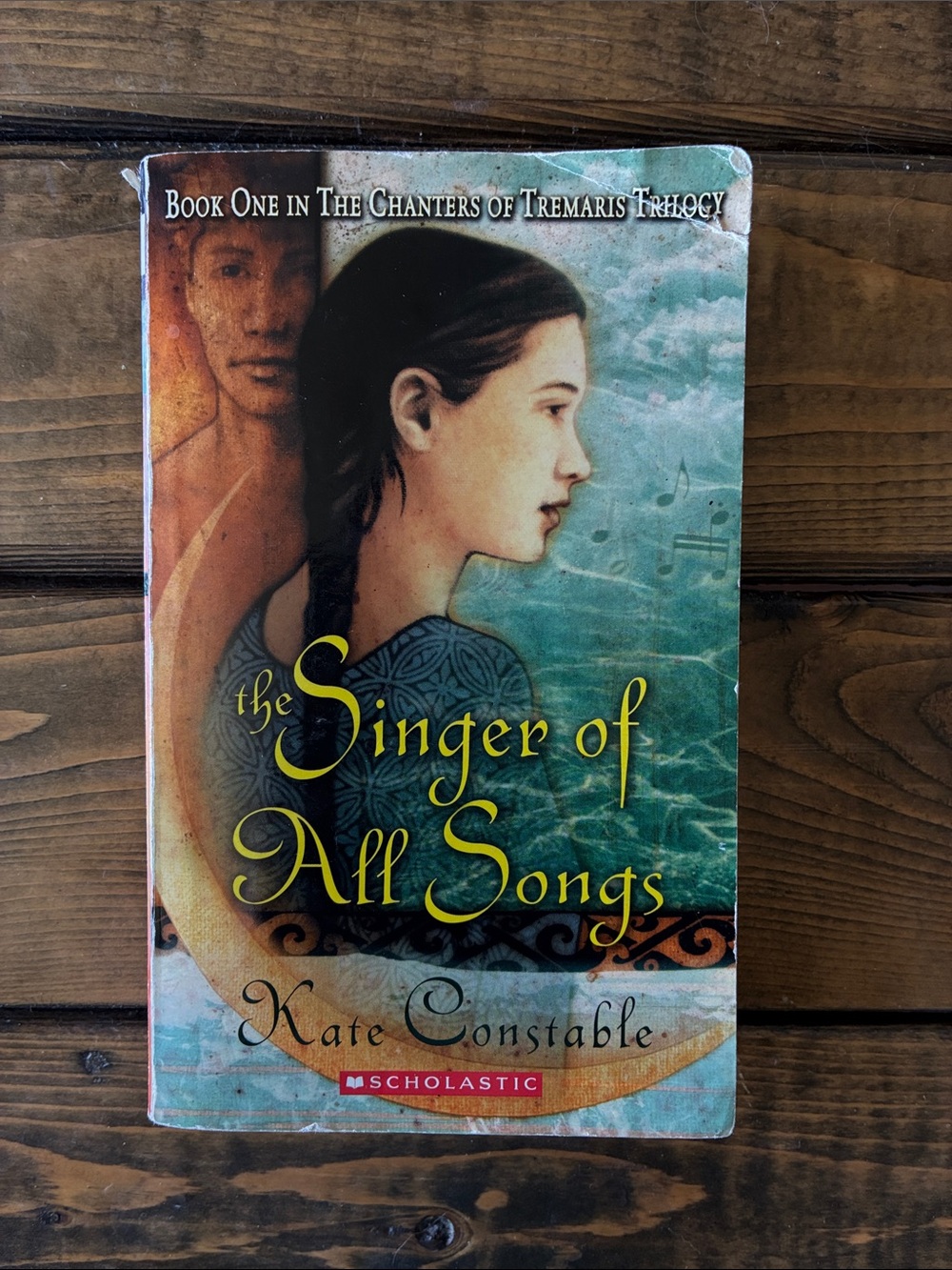 The Singer of All Songs book